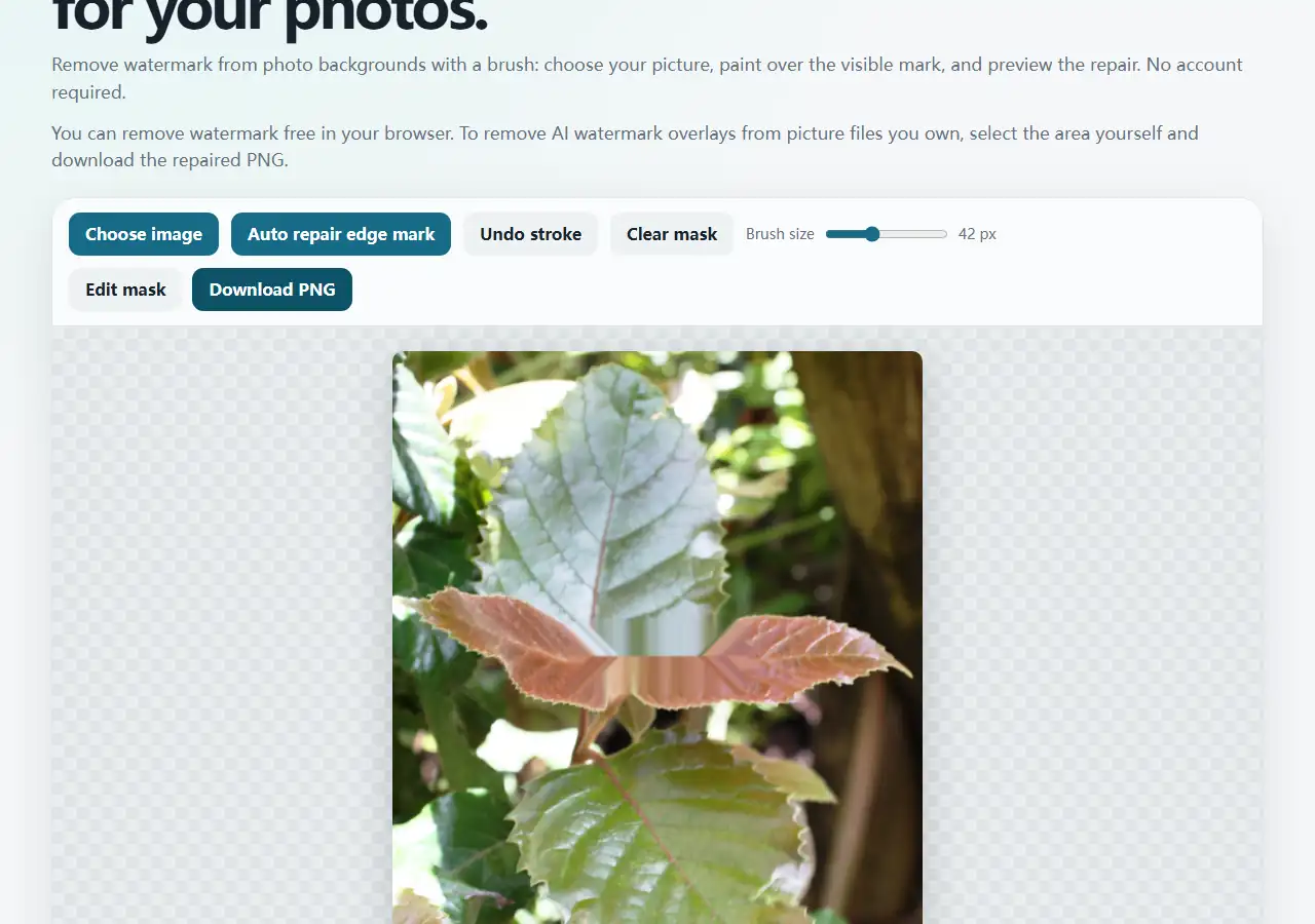 Browser editor showing the repaired first TEST image and its Download PNG button