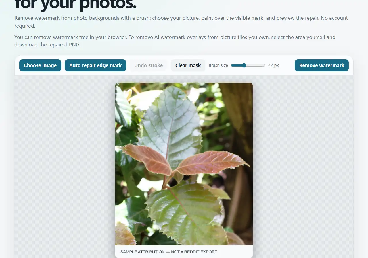 Browser editor after a different second image replaced the first result
