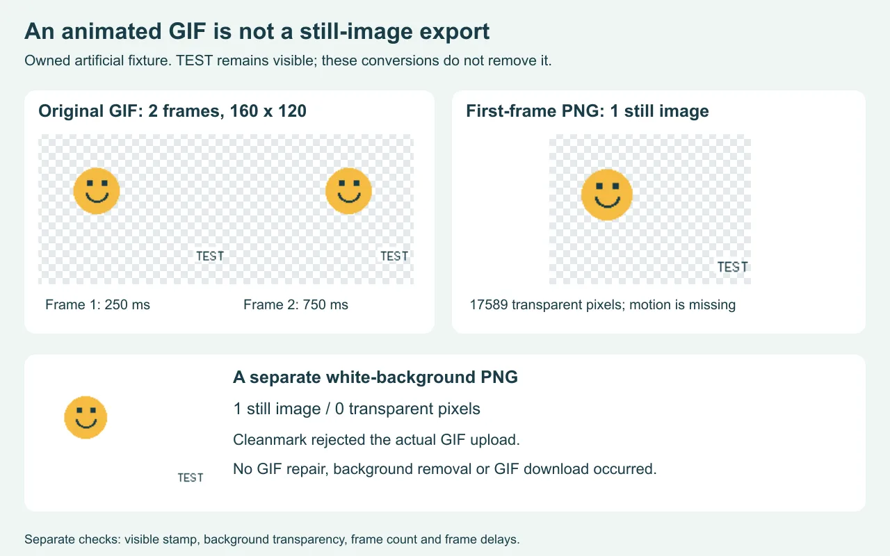 Owned two-frame GIF compared with a single transparent PNG and a white-background PNG; the artificial TEST badge is still present